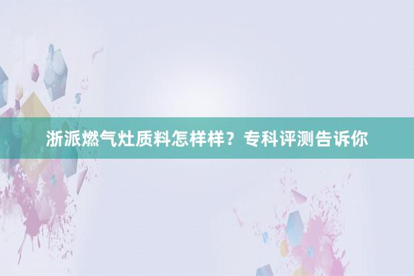 浙派燃气灶质料怎样样？专科评测告诉你