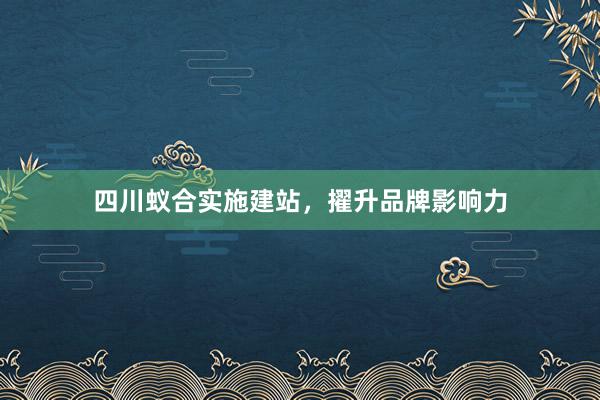 四川蚁合实施建站，擢升品牌影响力
