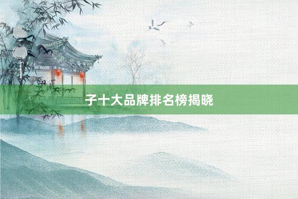 子十大品牌排名榜揭晓