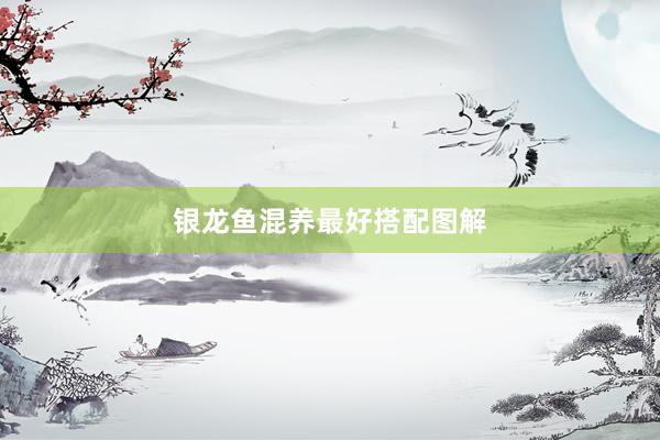 银龙鱼混养最好搭配图解